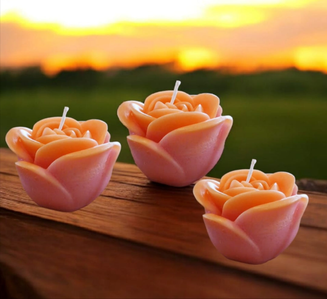 Ombre-Sunset Rose Candle