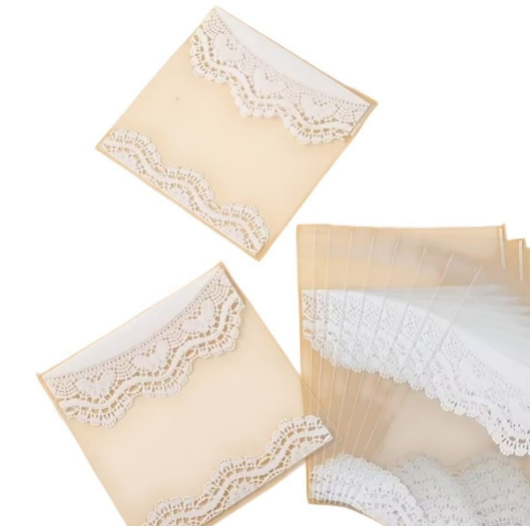 Transparent Lace Bags